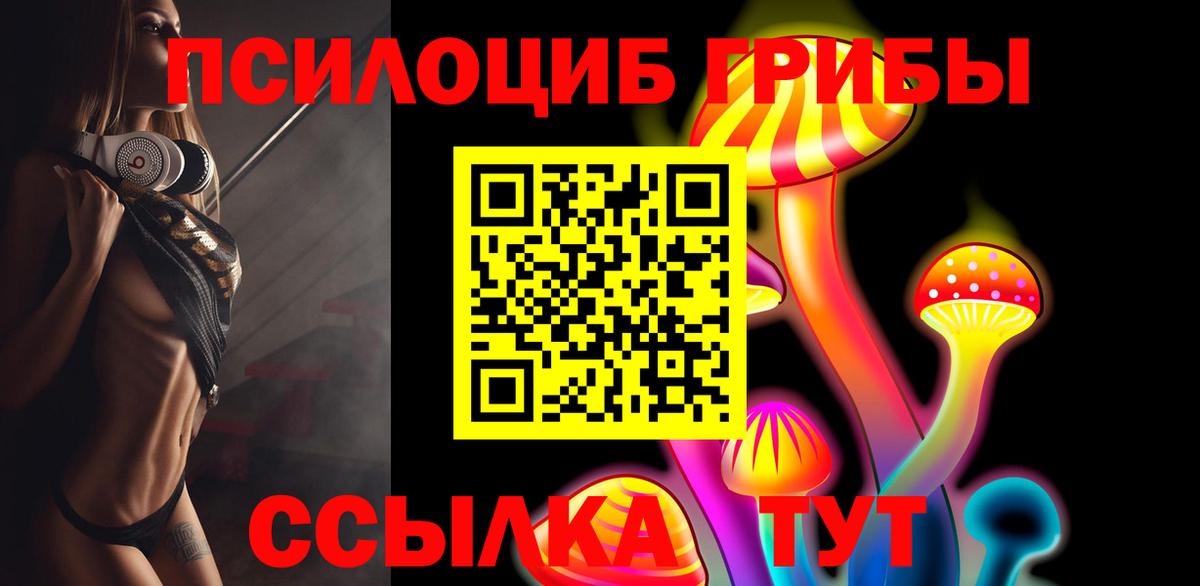 Псилоцибиновые грибы Psilocybine cubensis  Вход с VPN  Уварово 